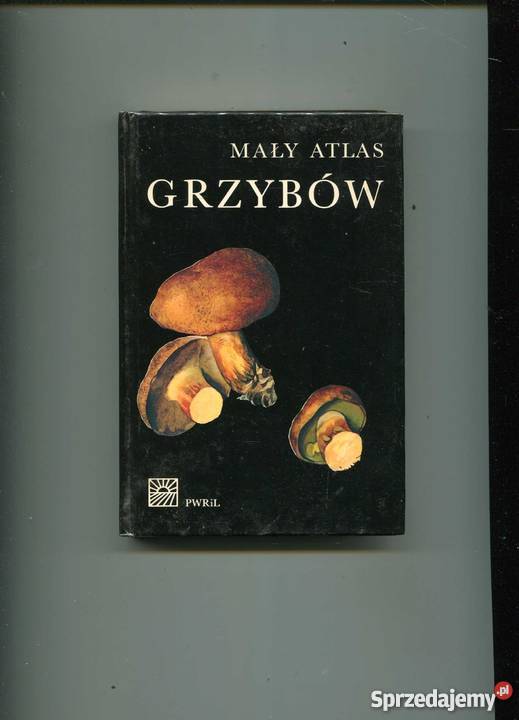 Mały atlas grzybów Szczecin