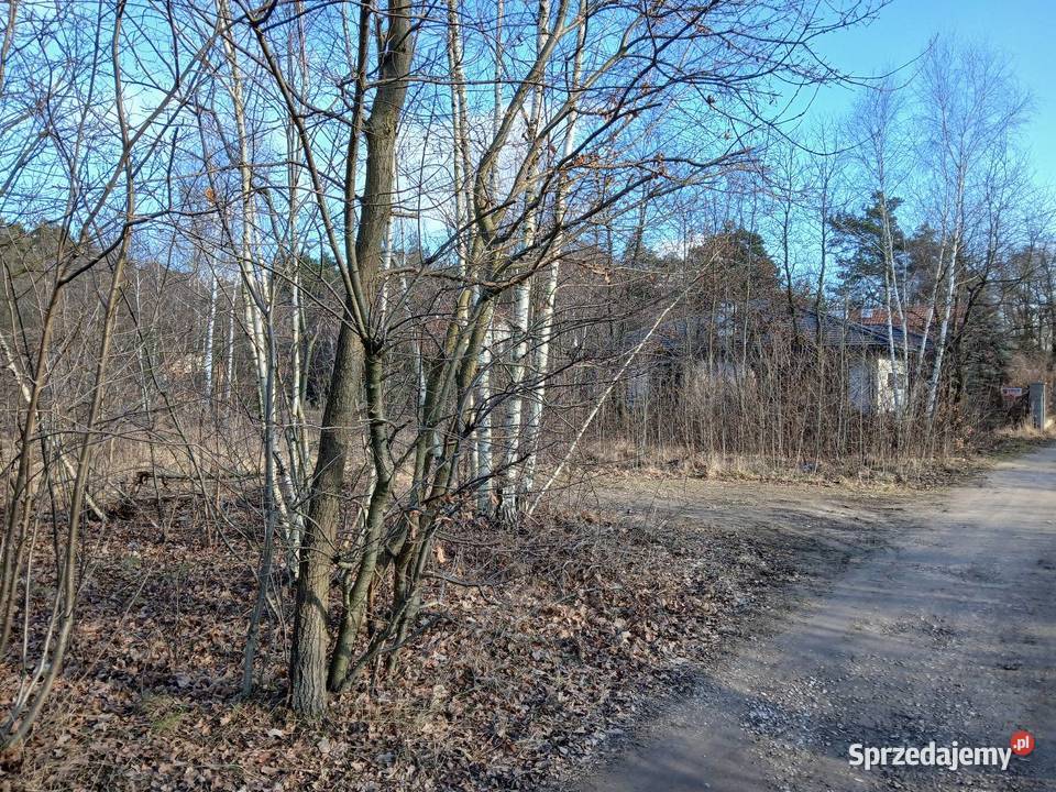 Działka budowlana Piotrków Tryb Wojska Polskiego Sprzedaż Piotrków Trybunalski