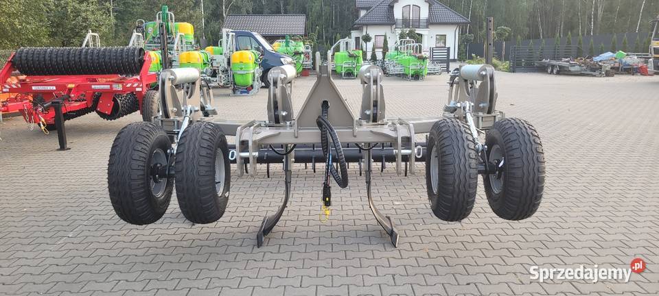 Rolex Głębosz GB 4 łapy Michel NONSTOP Rolex mazowieckie Zdany