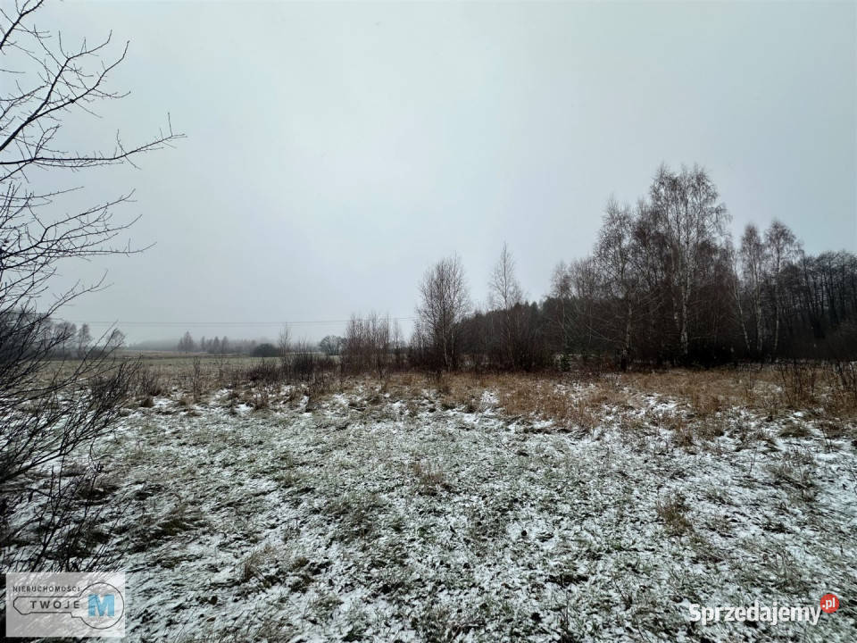 Działka Śladków Duży 43100m2 2zł/m2