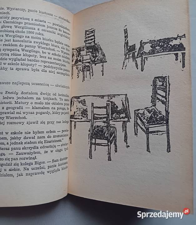 Zbigniew Nienacki Niesamowity dwór Wydawn