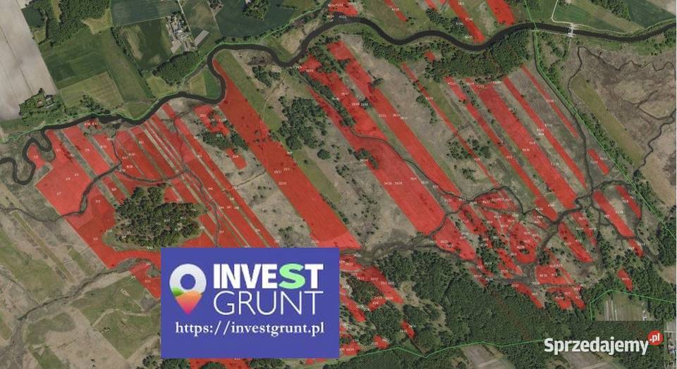 66361 ha przetarg na dzierżawę gruntów rolnych Pańki
