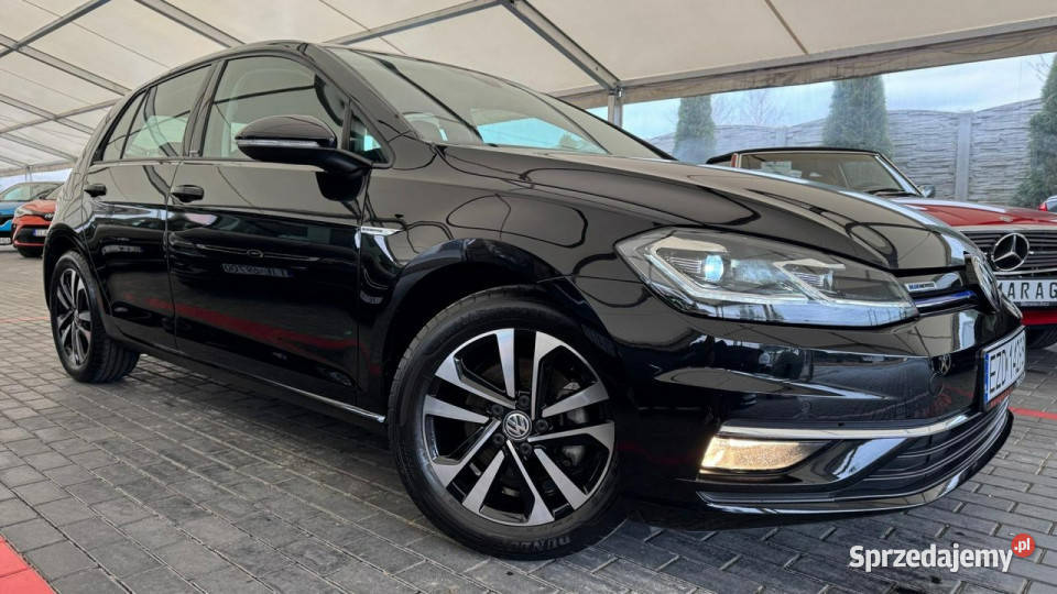 Volkswagen Golf VW Golf VIII VII 2012 możliwa zamiana