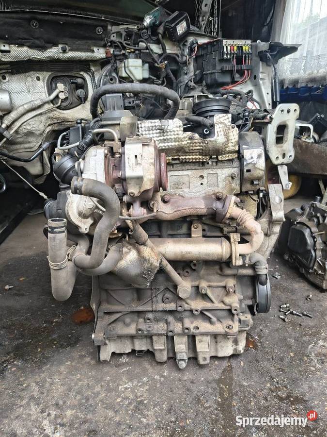 Silnik 20 TDI CBAB pomorskie Pinczyn