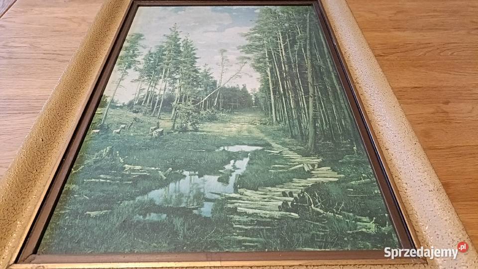Dwa Ładne stare obrazy Reprodukcja mazowieckie Warszawa