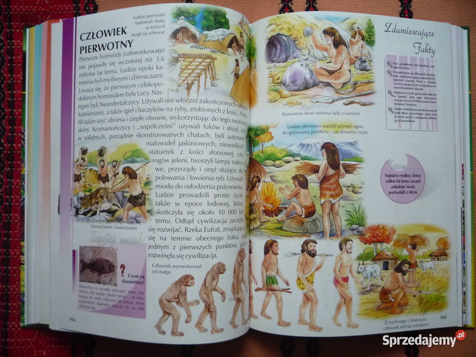 NOWA Encyklopedia Poznaję świat Barwne
