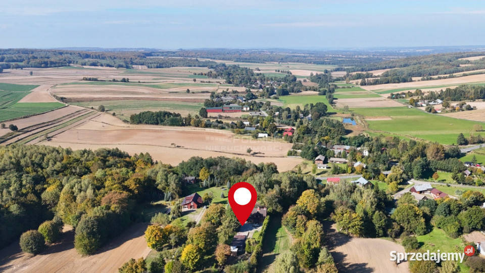 Przytulny dom z potencjałem i ogromną działką lubelskie Drewniki sprzedam