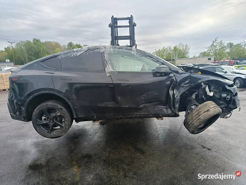 TESLA MODEL Y Long Range Allwheel Drive 2021 378 sprzedam