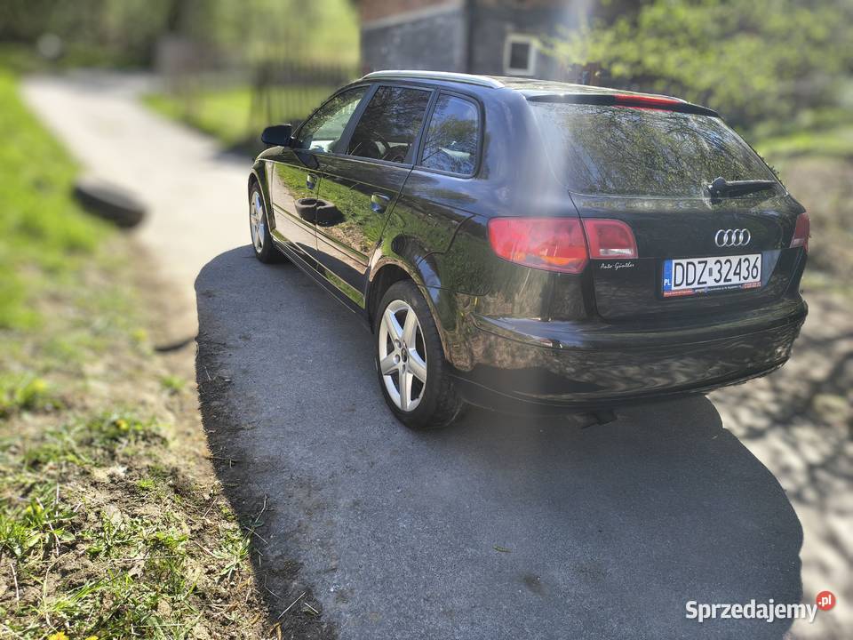 Audi A3 8P 19 TDI 105 aluminiowe felgi Żywiec