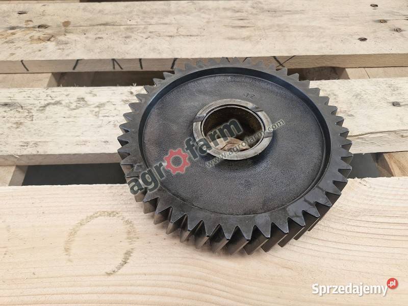 Koło zębate żółwia Massey Ferguson 3070 3085 Byków