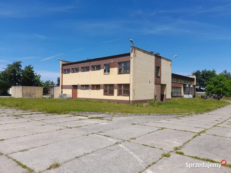 Nieruchomość na sprzedaż 157zł/m2 Głubczyce