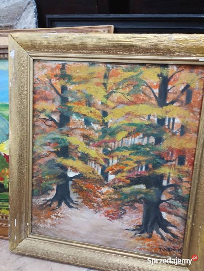 Obraz Pejzaż leśny jesienią Obrazki i obrazy Ełk