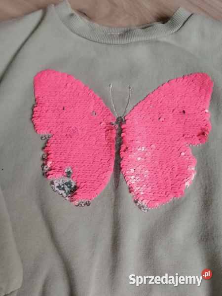 Bluza warmińsko-mazurskie