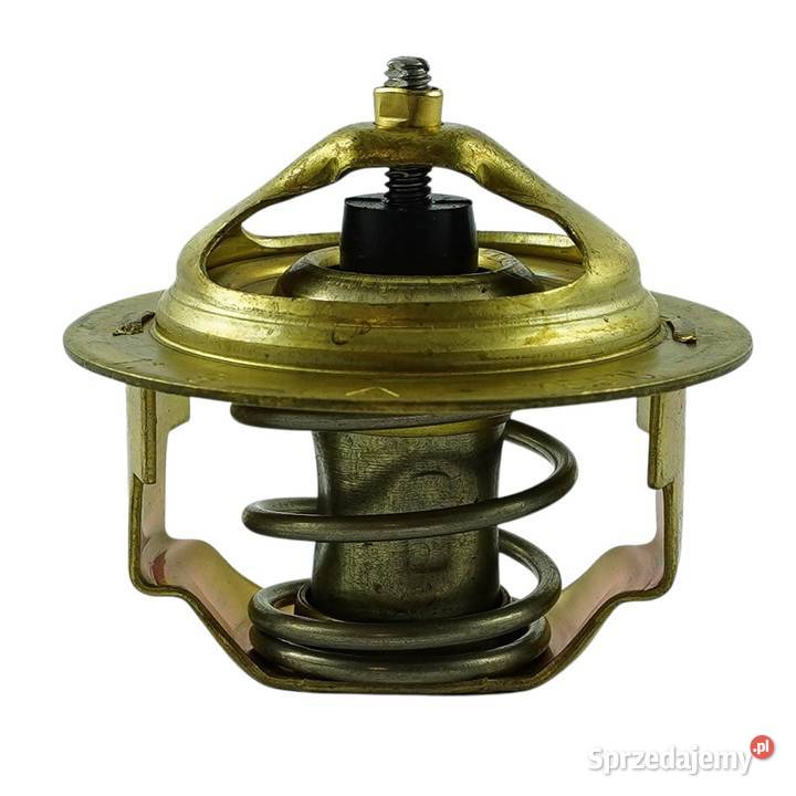 Termostat LS XJ R28i R38i i28 i36 40453605 podkarpackie Tajęcina