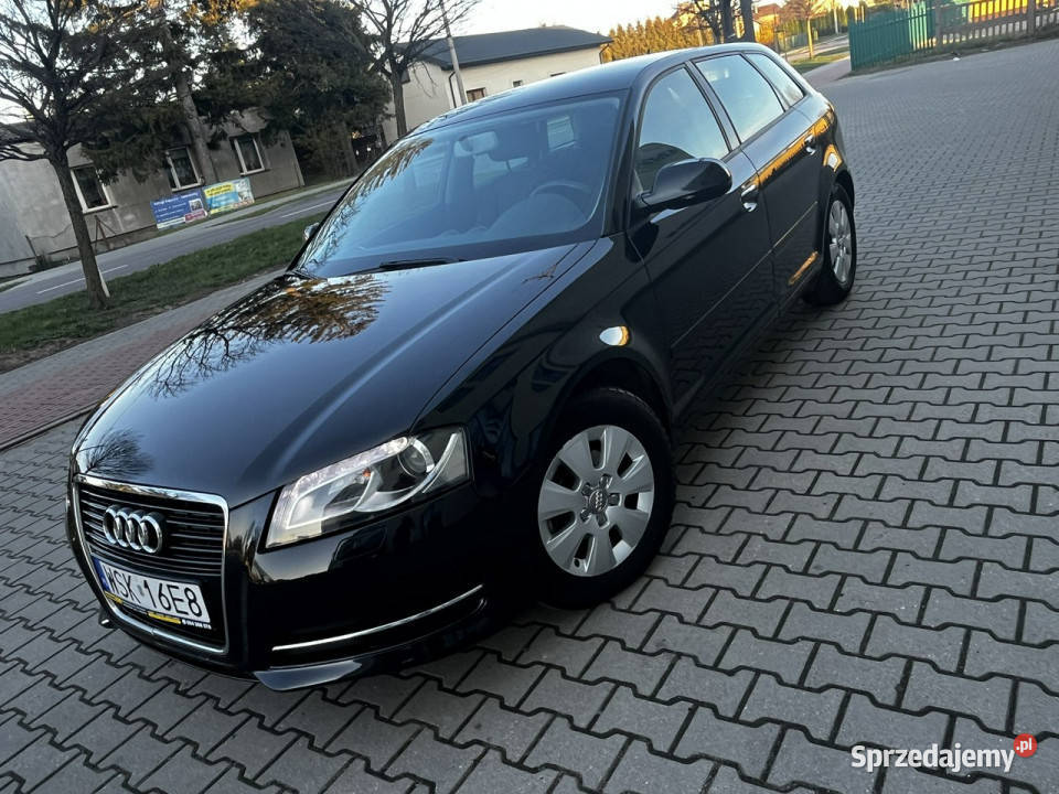 Audi A3 Audi A3 Lift 16Tdi 2012r Xenon Led 105KM mazowieckie Sokołów Podlaski