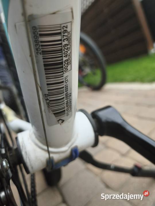 BTwin Original 100 24 cale pomorskie Gowino
