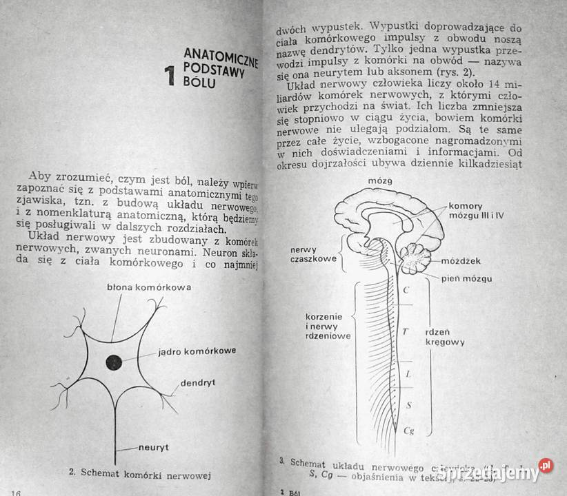Ból Teofan Maria Domżał Rok wydania 1983 Pozostałe Chełm