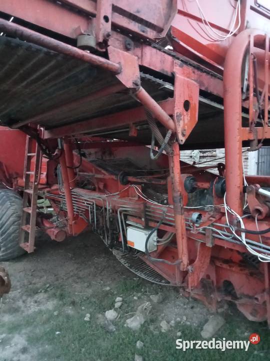 Kombajn DR 1500 do ziemniaków buraczków marchwi lubelskie Wojciechów