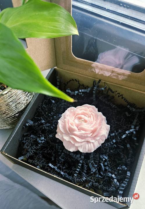 Świeca sojowa piwonia 9cmx9 różowy wielkopolskie Kalisz