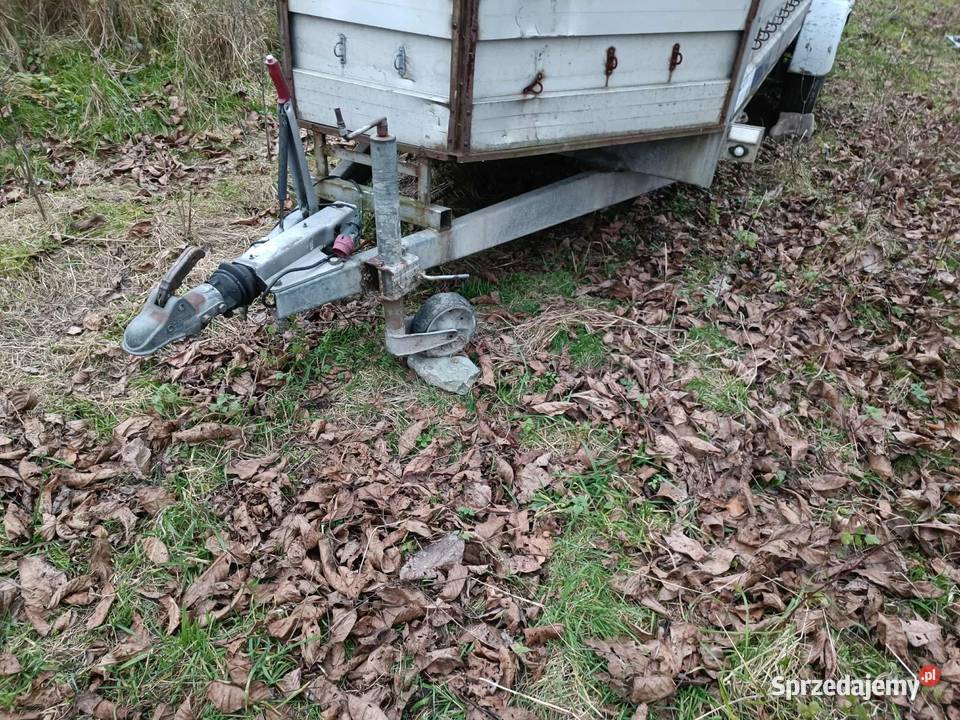 1901 Boeckmann dłużyca przyczepa xxl 2t dmc 2