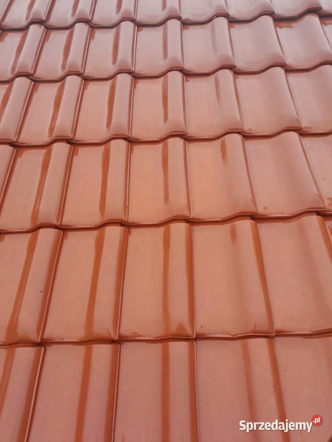 Mycie malowanie dachów Zielona Góra usługi budowlane