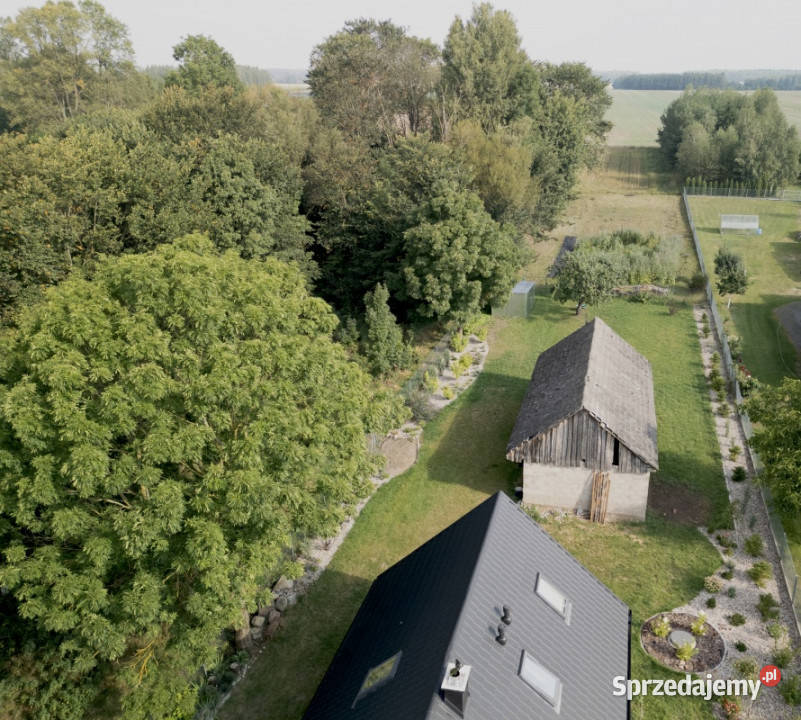 Siedlisko z unikalnym ponad 100 letnim asfalt Moskiewce sprzedam