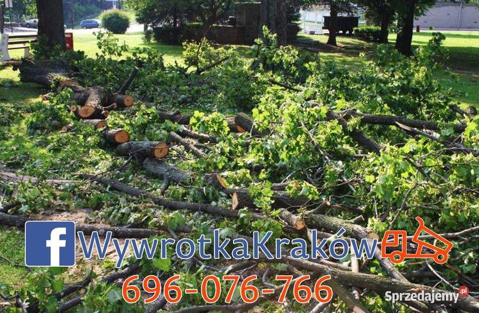 UTYLIZACJA WYWÓZ gałęzi krzewów liści trawy pni