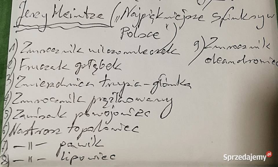 Jerzy Heintze Najpiękniejsze sfinksy polskie sprzedam
