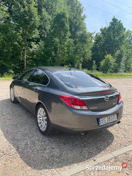 Opel Insignia Suwałki