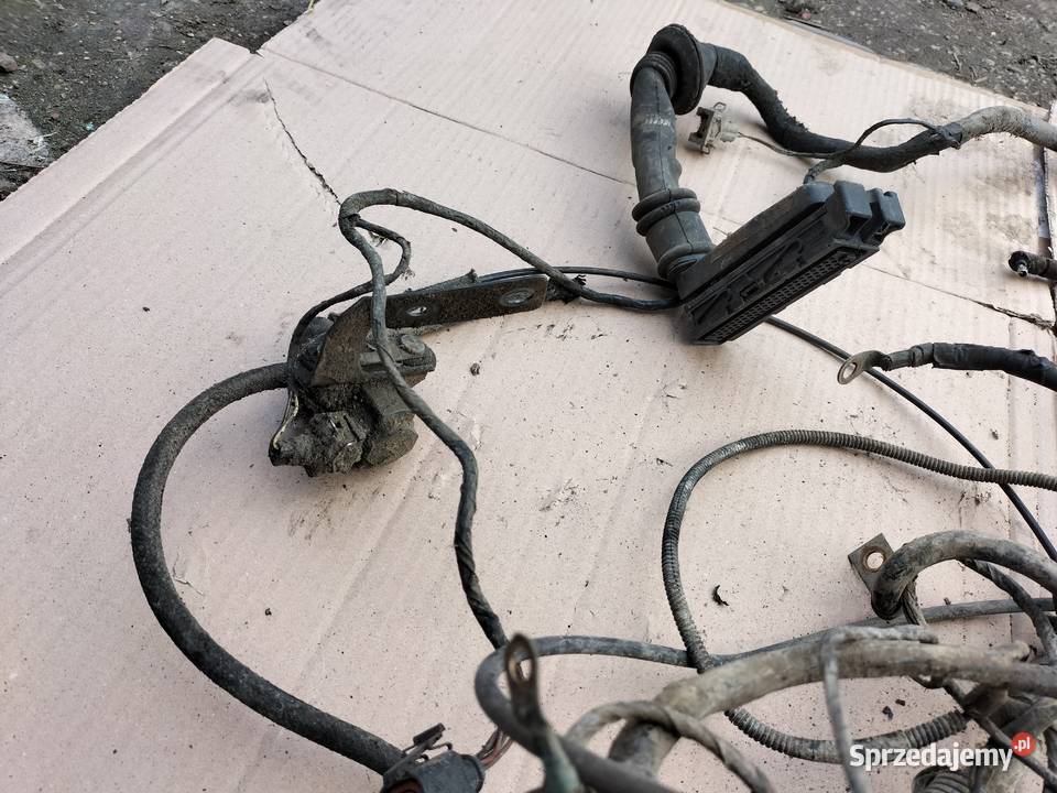 VW PASSAT B4 19TDI WIĄZKA INSTALACJA ELEKTRYCZNA Kamień-Kolonia