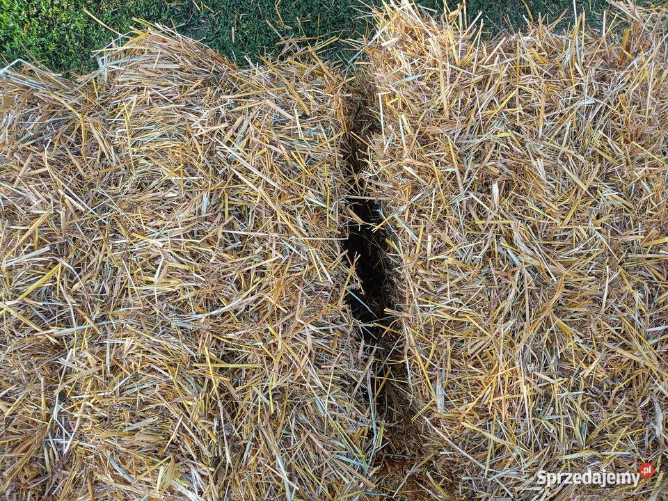 Słoma Owsiana W Kostkach