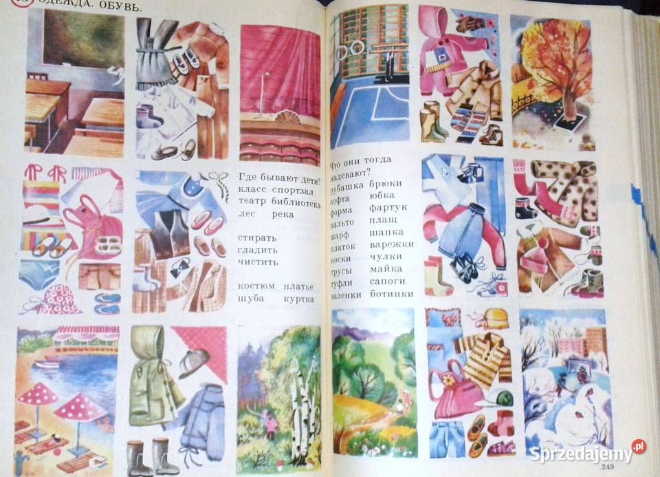 Russkij Jazyk w kartinkach Slowar Język rosyjski Chełm