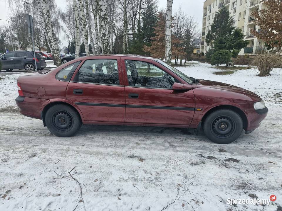 Zadbany opelek Oświęcim