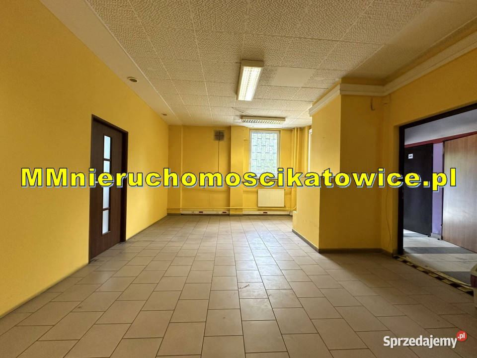 Magazyny do wynajęcia Sosnowiec do 4000 m2 rampy Wynajem