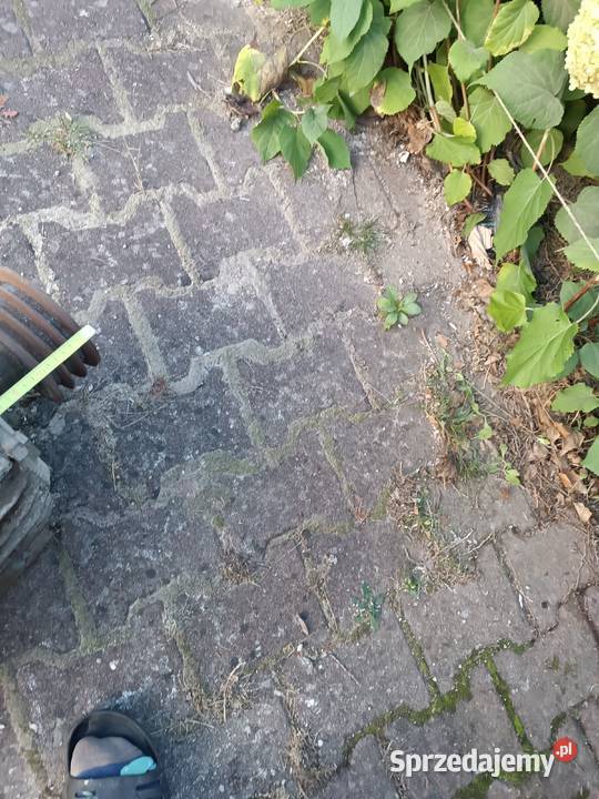 Silnik elektryczny 3 fazowy 2 biegowy 3kw i 5kw Jaworzno
