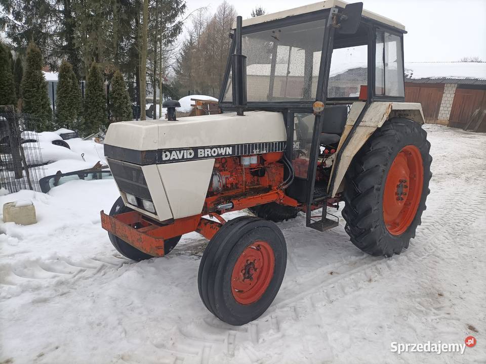 Case David Brown 1290 58 David Brown Krzczonów Trzeci sprzedam