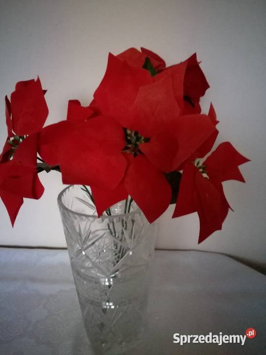 Bukiet kwiatów sztucznych gwiazdy betlejemskie Dekoracje i ozdoby