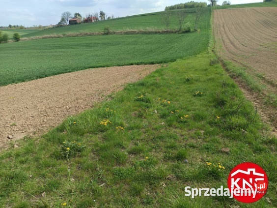 MARYSIN działka rolna o pow 8000 m