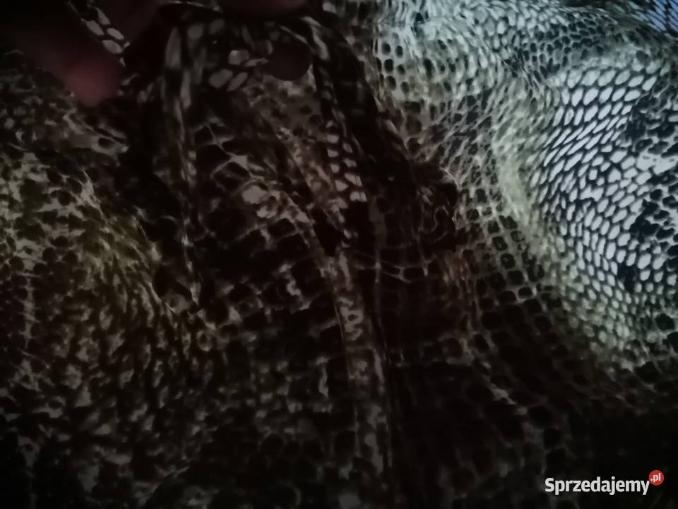 Nowa bluzka bluzeczka wężowy print koszulka Leszno sprzedam