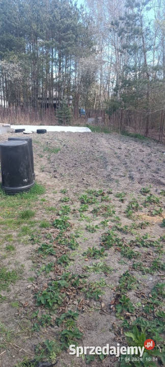 Sprzedam nieruchomość w Ostrówku Węgrowskim 1 piętro mazowieckie