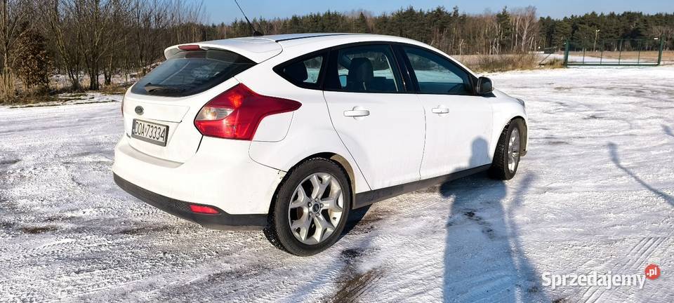 Fort Focus SALON POLSKA ZAMIANA Lubin