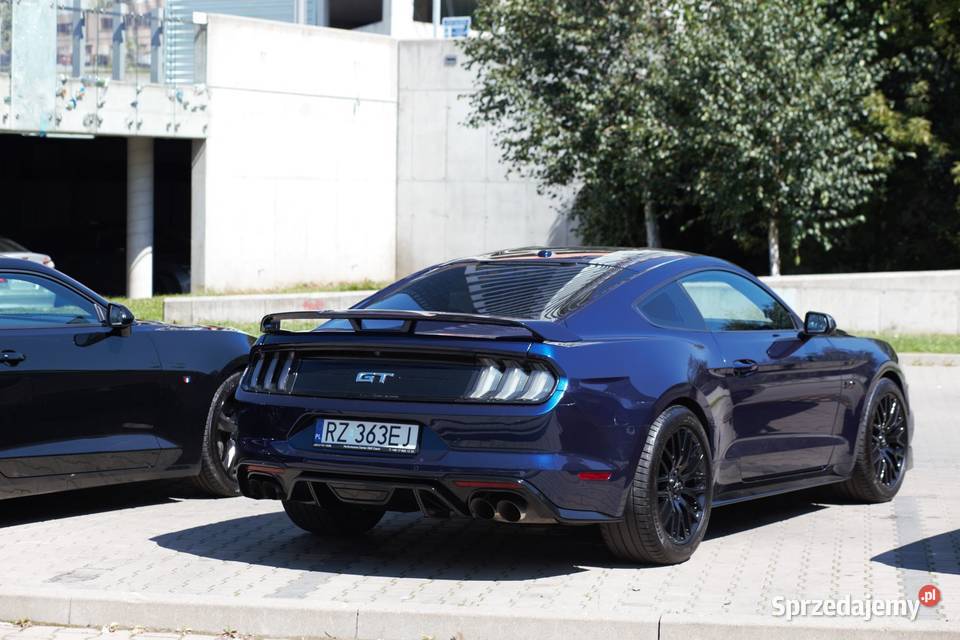 Ford Mustang GT V8 50 Performance Rzeszów sprzedam