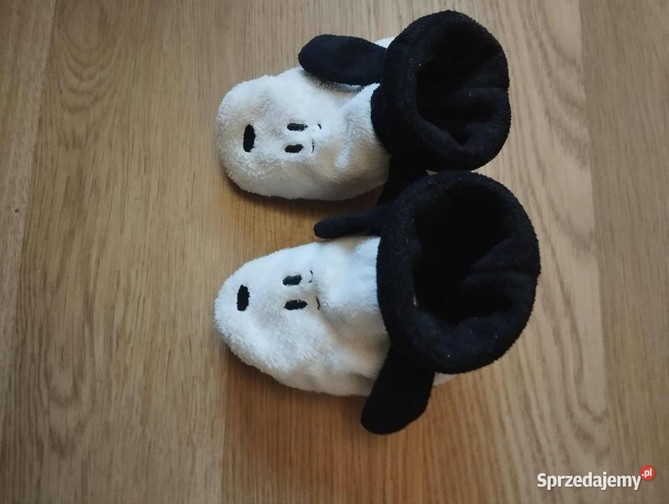 Niechodki pieski Gorzów Wielkopolski