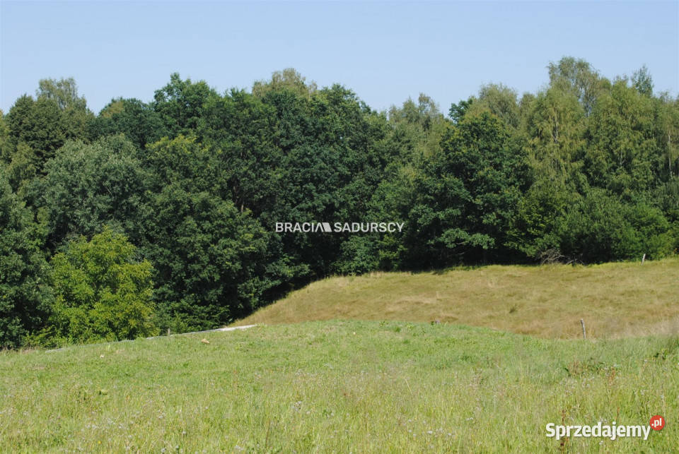 Do sprzedaży grunt Chorowice 5802m2 budowlana małopolskie