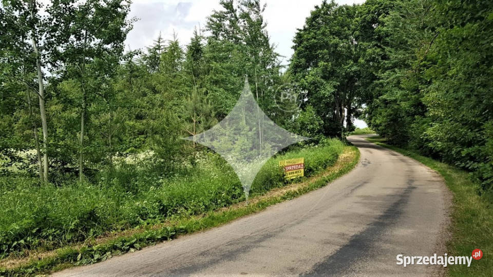 Działka rolna na Mazurach Golubie