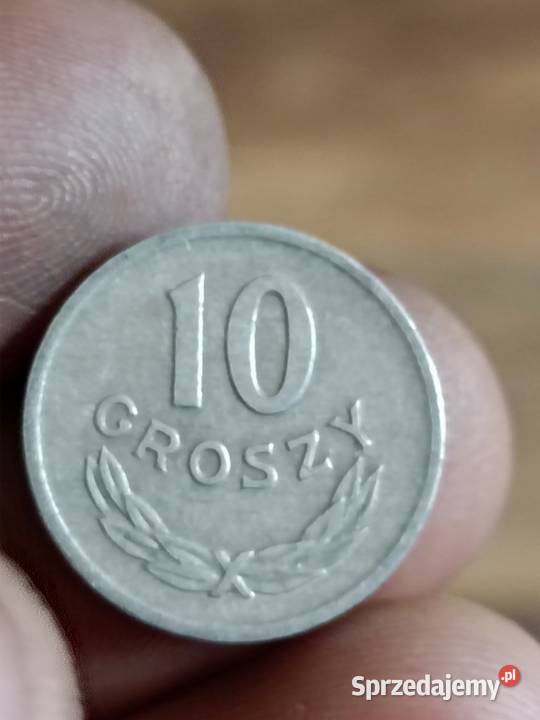 Sprzedam 10 gr 1967 zzm Chełm