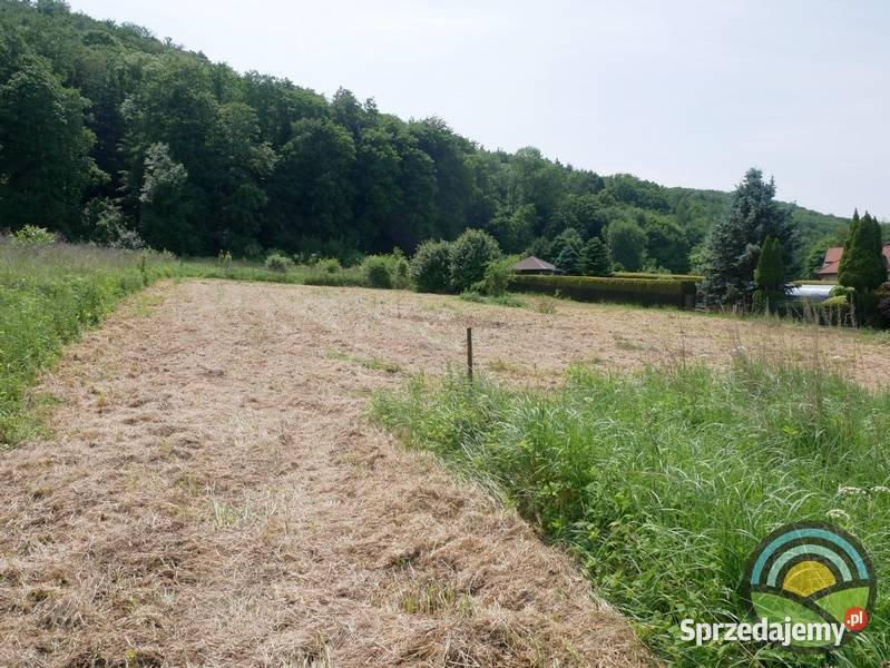 Kochanów gm Zabierzów płaska 16arowa działka 1608m2