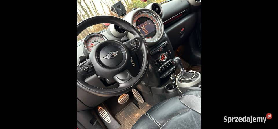 Mini Countryman kujawsko-pomorskie Włocławek