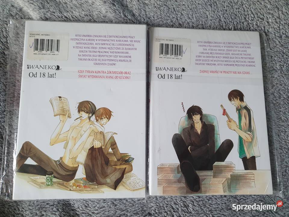 Sekaiichi Hatsukoi Przypadek Ritsu Onodery
