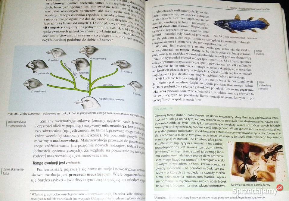 Biologia 2 Podręcznik Jacek Balerstet Ewa Chełm